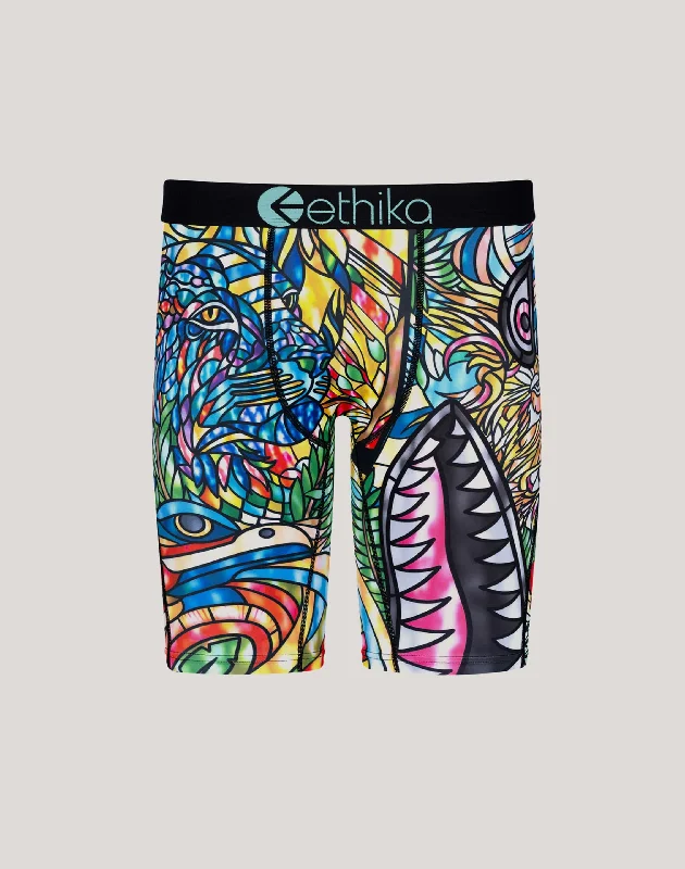 Ethika Bomber Cathedral Boxer Briefs Cool Men's Skate