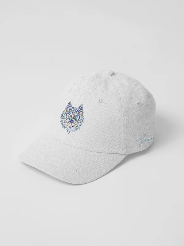 Youth Rainbow Wolf Hat Casual Men's Loose